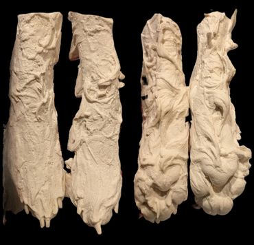 Dog paws in 3D casting