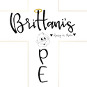 TEXAS CARES PROGRAM