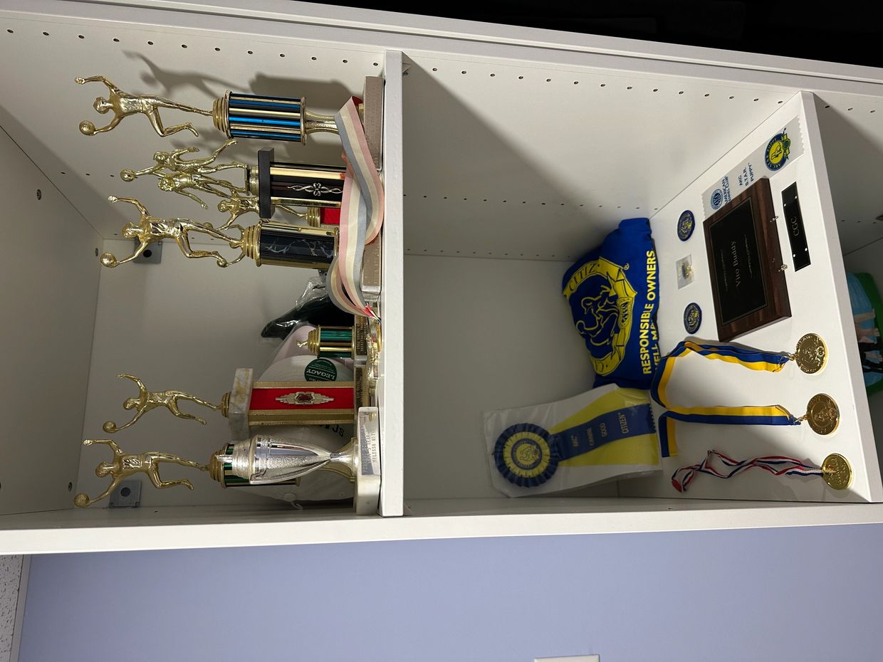 Shelf displays basketball trophies, medals, ribbons, and a plaque for achievements.
