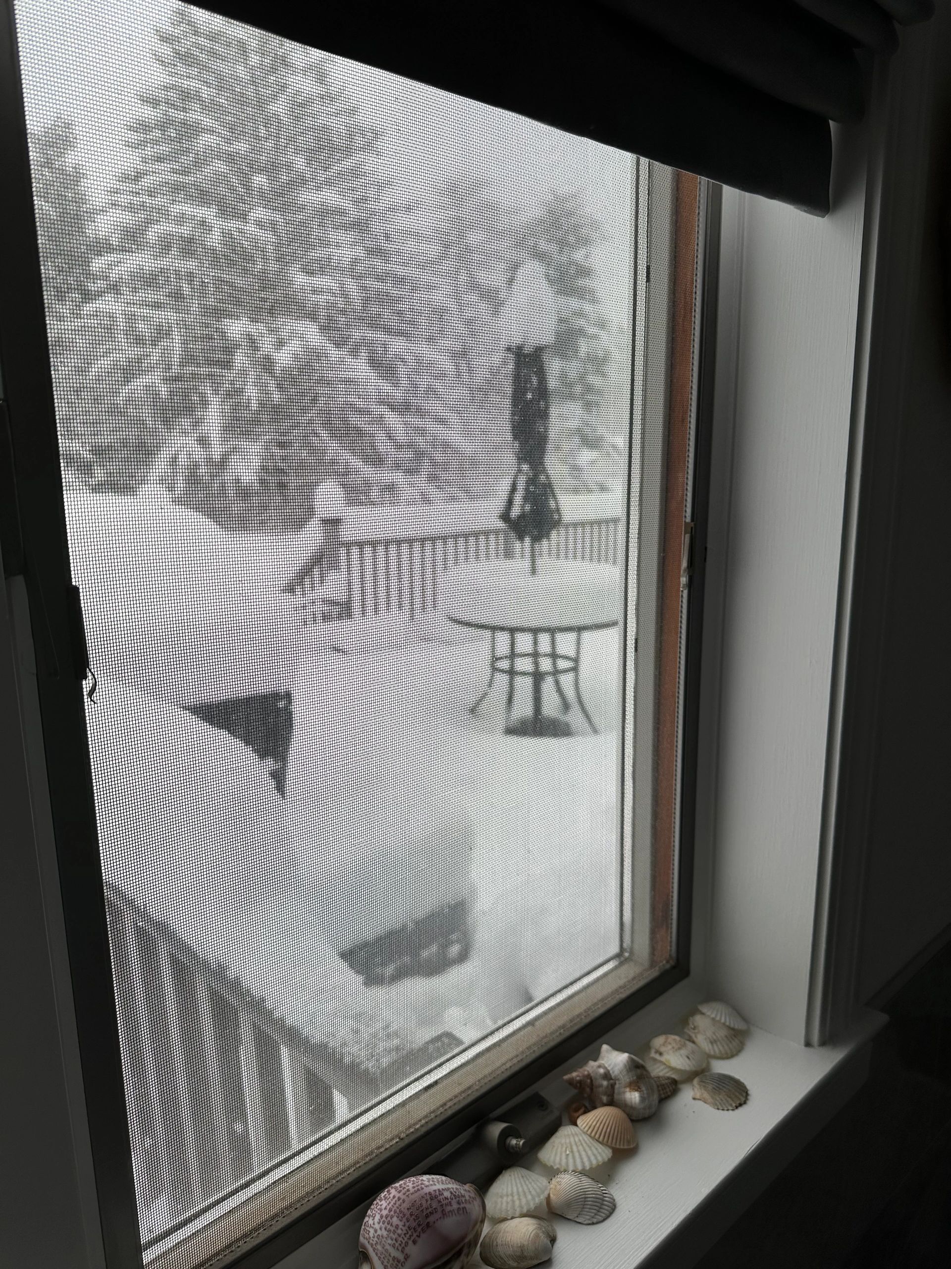 View of a snowy backyard through a window screen with seashells on the windowsill.