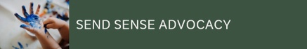 Send Sense Advocacy