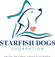 Starfish Dogs Foundation