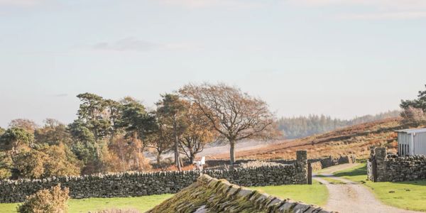 A peaceful countryside road bordered by stone walls and autumn trees under a clear sky.