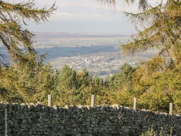 View of a distant town through trees and a stone wall in the foreground.