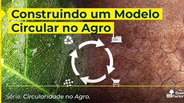 CONSTRUINDO UM MODELO CIRCULAR NO AGRO
