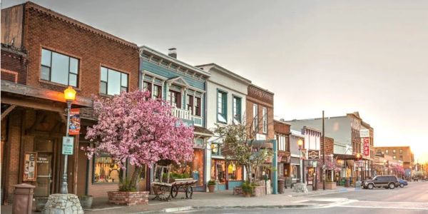Quaint street with historic buildings and cherry blossom tree.