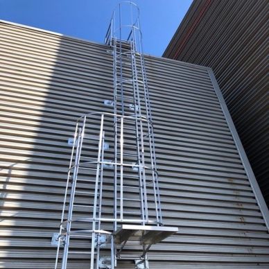 Vertical safety ladder with cage on metal building wall.