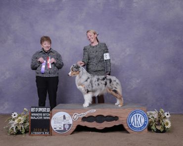 Woman presenting a dog at a dog show with awards.