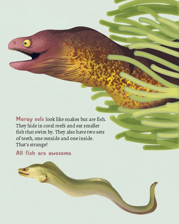 All Fish are Awesome will captivate and entertain young readers. A great children's book about fish.