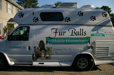 Mobile Grooming Furballs Pet Grooming