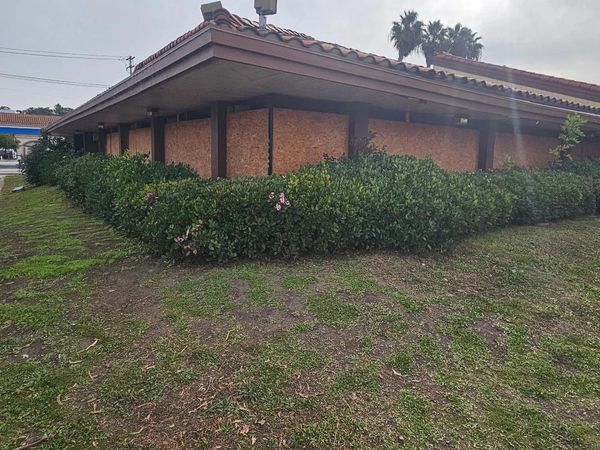 A building with boarded-up windows surrounded by green bushes and grass.