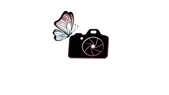 DELPHINE LG PHOTOGRAPHE 
