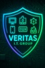 Veritas I.T. Group