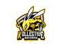 Kollective Recordz Ent