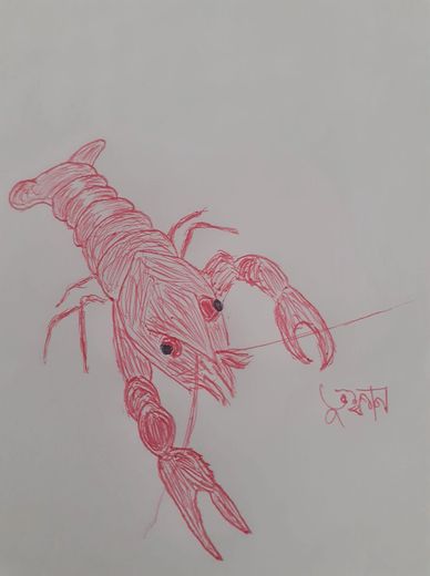 Lobster sketch by Toofan Majumder
Kuala Lumpur
May 2021
Painting
Art
Drawing