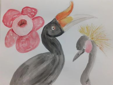 Painting by Toofan Majumder
Rhinoceros hornbill
Grey crowned crane of Africa
Rafflesia flower MY.


