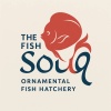 The Fish Souq