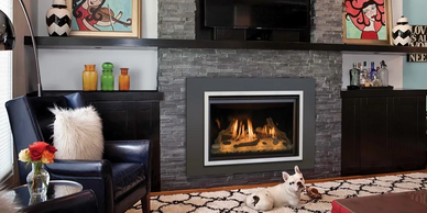 Kozy Heat Fireplaces, Chaska 34 Fireplace Insert