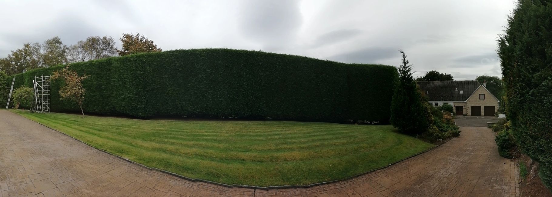 All hedge services - Fine Trimming from large to small.