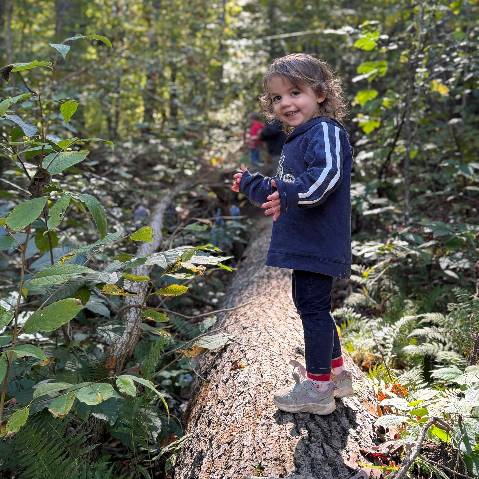 A smiling toddler balances on a fallen tree trunk in a lush forest.
