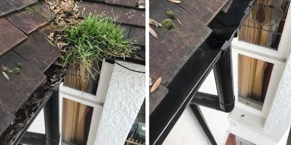 gutter cleaning