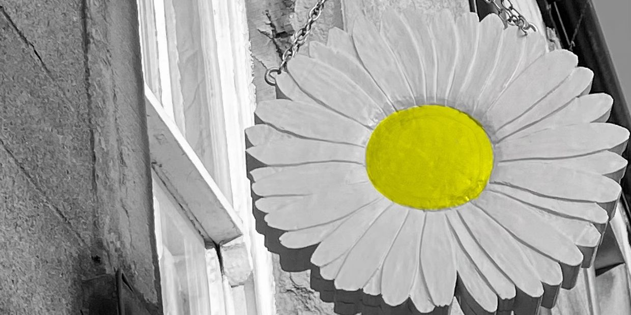 Our Vision and Values Daisies Care Consultants