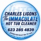 Immaculate hot tub cleaner