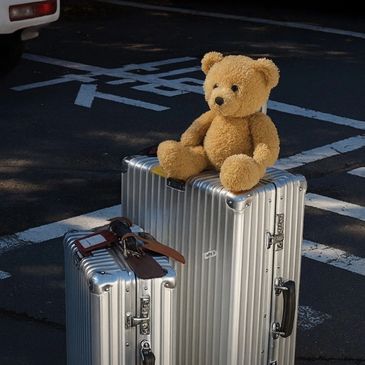 Teddy bear sitting on silver luggage in a parking lot.