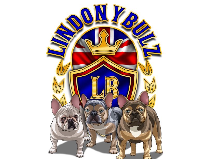 Illustration of three bulldogs in front of a royal emblem with the text 'Lindonybulz'.