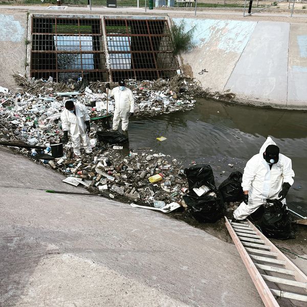 Biohazard Remediation removing Sharps, Decomposing animal carcasses and other Biological Waste 