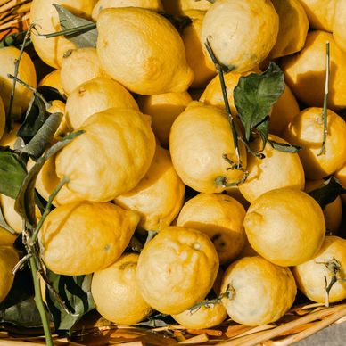 cesta di limoni a foglie appena colti