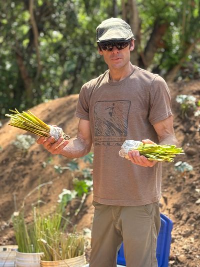 Introducing Vetiver to local Taro farm growers 