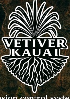 VeTiver Kauai