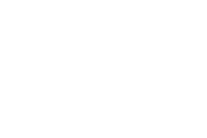 Octopi Emporium