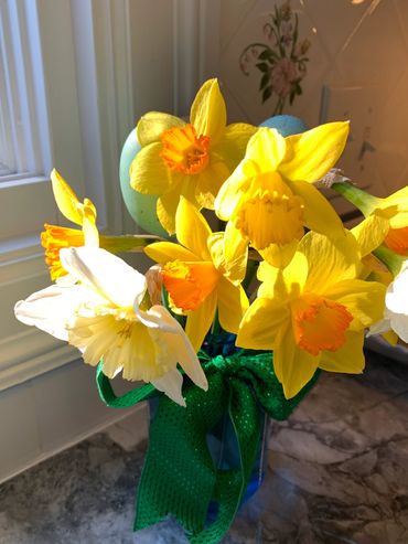 A variety of different types of daffodils in a blue vase
