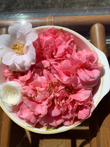 A shallow bowl with a variety of camellias that were on the ground after a storm.