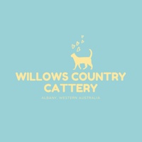 willows country cattery