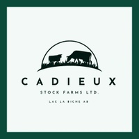 Cadieux Stock Farms Ltd. 