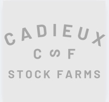 Cadieux Stock Farms Ltd. 