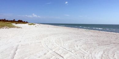 Empty sandy beach under a clear blue sky.