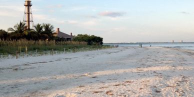A sandy beach with a lighthouse and palm trees.