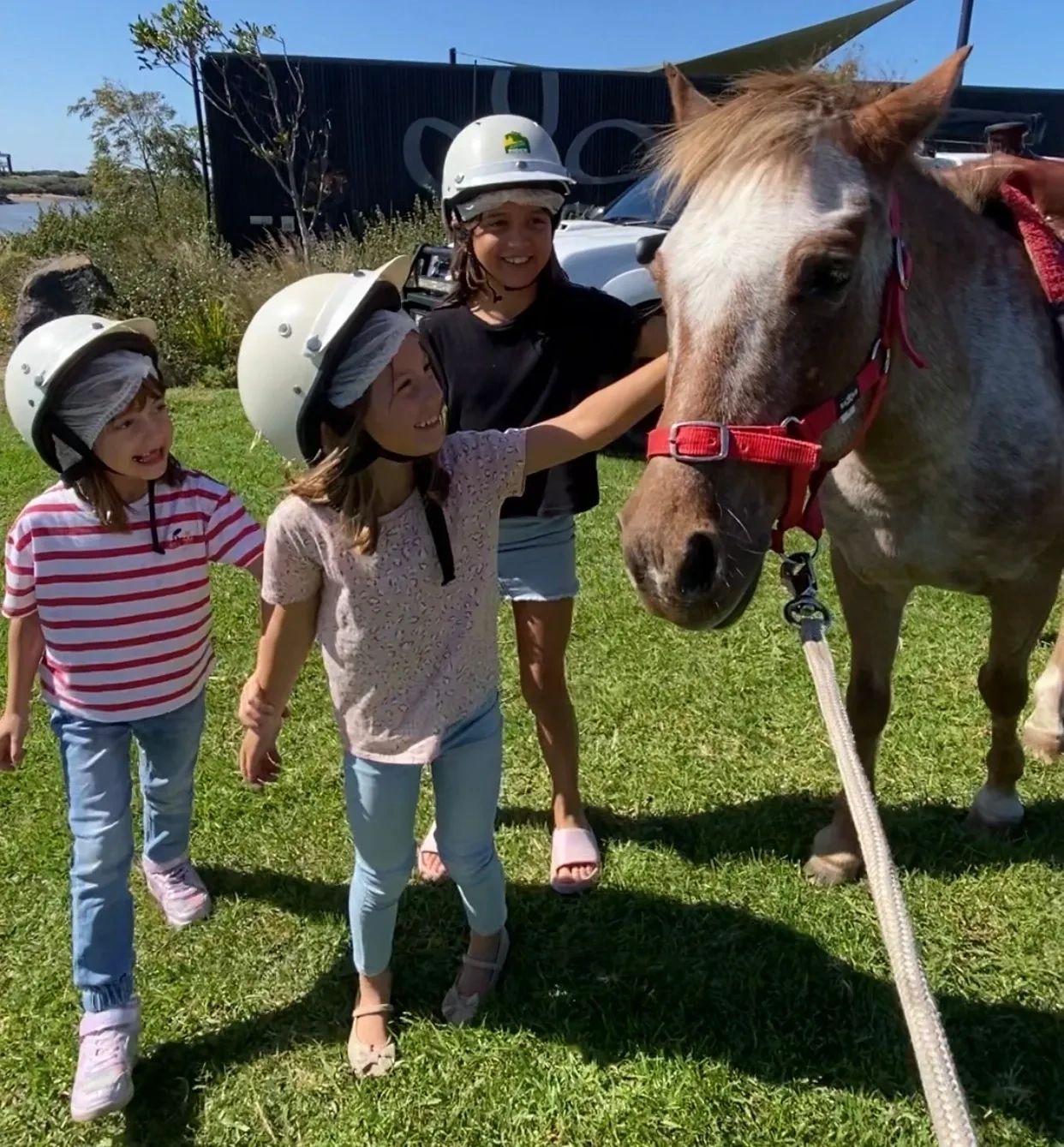 Pony Parties Melbourne - Little Riders for Children's Events
