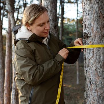 Measuring a trees DBH for an arborist report