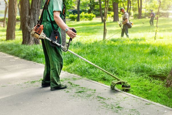 Gardening care tools and equipment