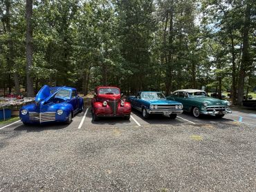 Four classic vintage cars parked side by side in a wooded area.
