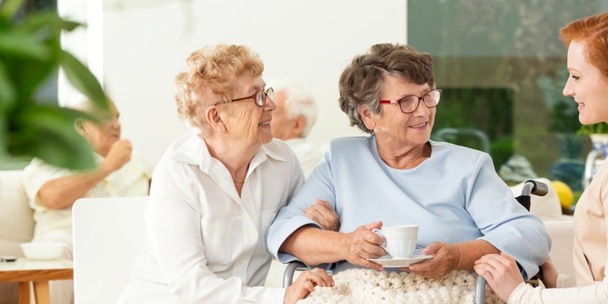 companionship at home 