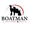 Boatman Club Lambs