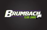 Brumbach Club Lambs