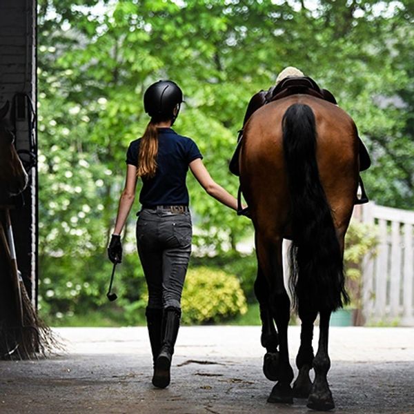 Equine Professional Insurance for trainers, riders, and boarding facilities