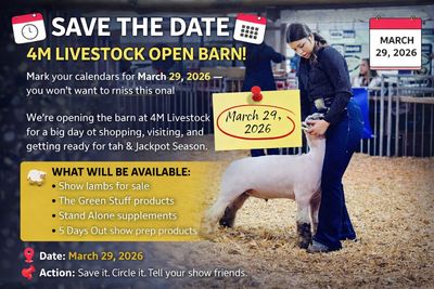 Save the Date graphic for 4M Livestock’s 2026 Open Barn. Show lambs for sale.
